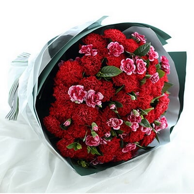 花开并蒂 商品图 3